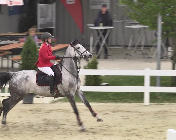 Reitturnier Leutkirch-Diepoldshofen 2018