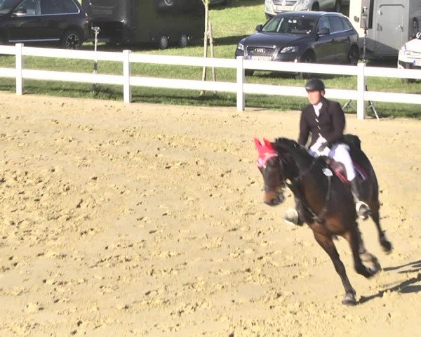 Reitturnier Leutkirch-Diepoldshofen 2018