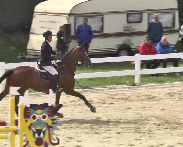 Reitturnier Leutkirch-Diepoldshofen 2018