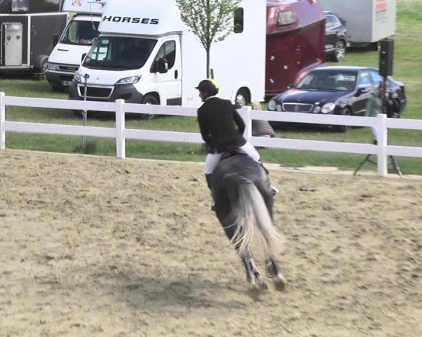 Reitturnier Leutkirch-Diepoldshofen 2018