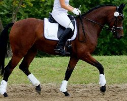 dressage horse Caralunaa (Westfale, 2011, from Califax)