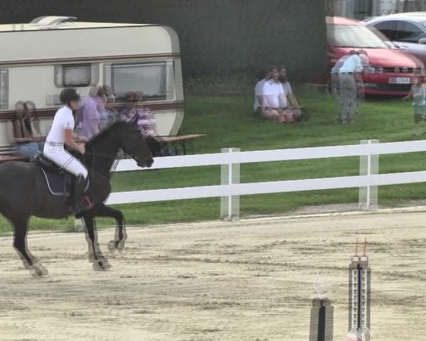 Reitturnier Leutkirch-Diepoldshofen 2018