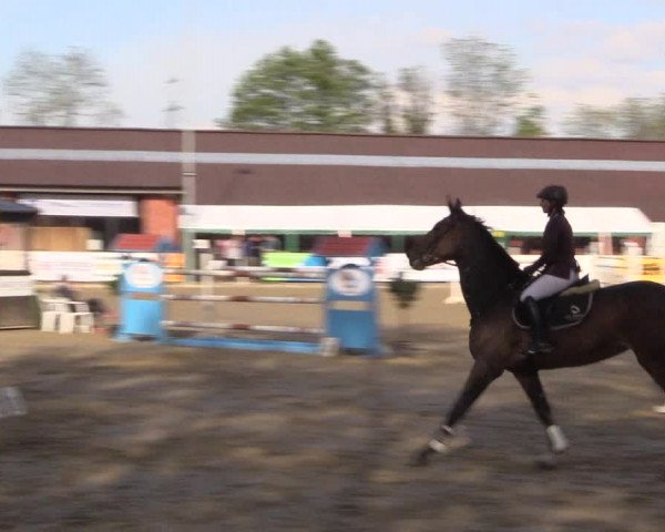 Reitturnier Havixbeck 2018