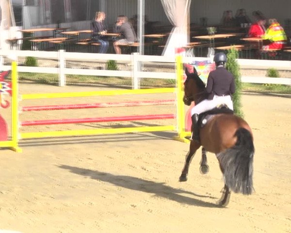 Reitturnier Leutkirch-Diepoldshofen 2018