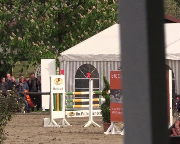 Reitturnier Havixbeck 2018