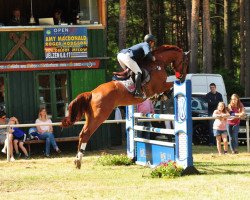 jumper Darwin 133 (Hanoverian, 2009, from Daddy Cool)