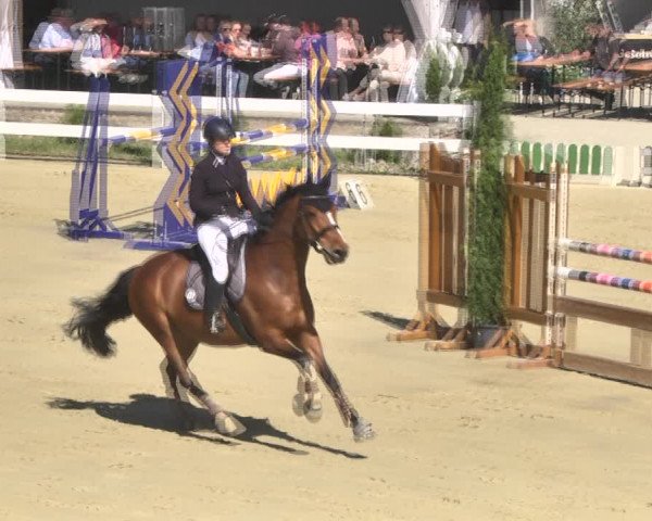 Reitturnier Leutkirch-Diepoldshofen 2018
