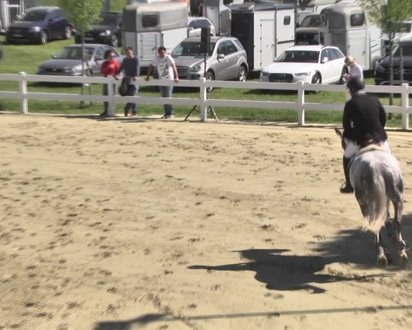Reitturnier Leutkirch-Diepoldshofen 2018