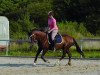 Dressurpferd Golden-Goofy (Deutsches Reitpony, 2008, von Gentleman)