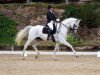 dressage horse Zampa-Nova (unknown, 2002)