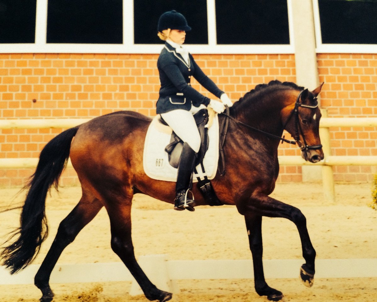Dressurpferd Sharom (Westfale, 2009, von Scolari)