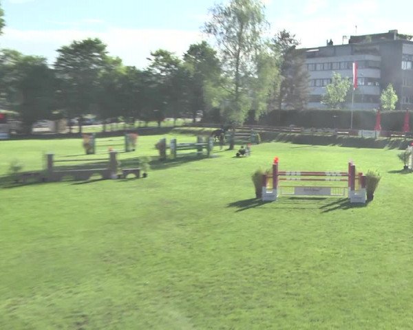 Reitturnier Uster 2018