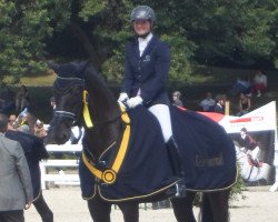 dressage horse Lord Frodo (Württemberger, 2008, from Lord Loxley I)