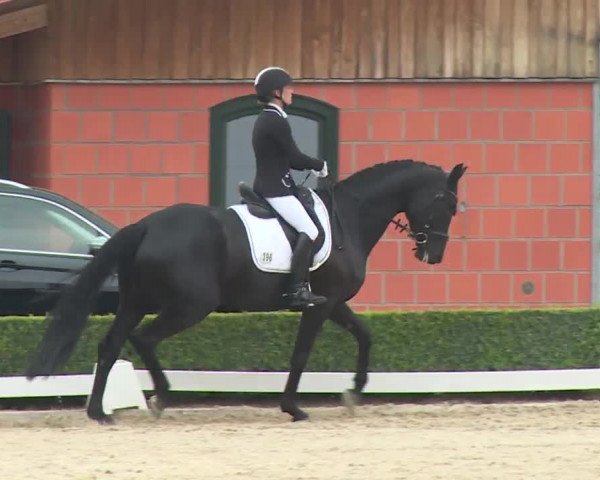 Reitturnier Baldham 2018