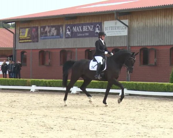 Reitturnier Baldham 2018