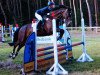 Springpferd Coupe de Balou (Westfale, 2005, von Cosinus B)