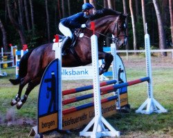 Springpferd Coupe de Balou (Westfale, 2005, von Cosinus B)