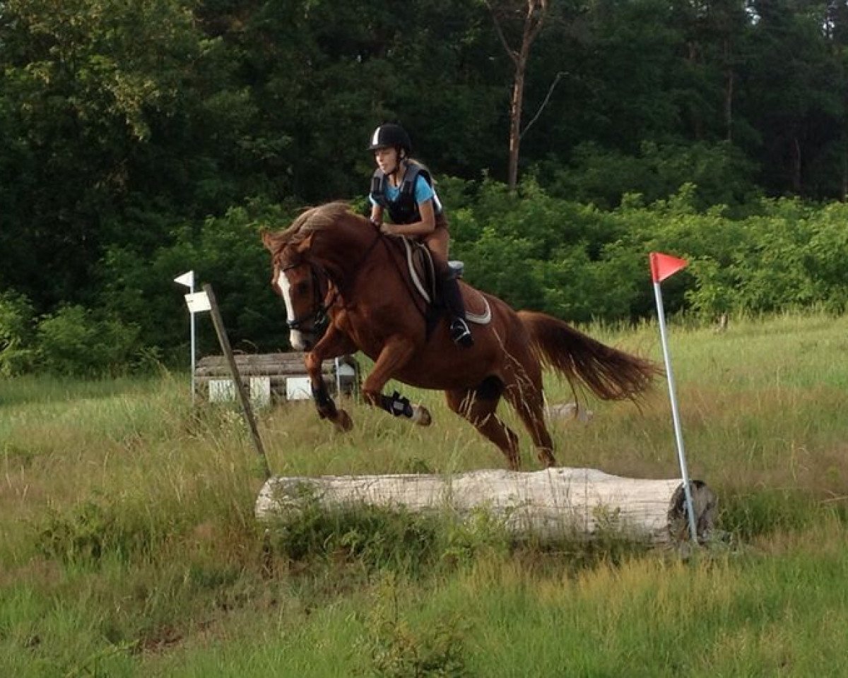 dressage horse Lorena (German Riding Pony, 2010, from Agral)