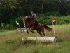 dressage horse Lorena (German Riding Pony, 2010, from Agral)