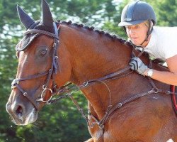 broodmare Axanne S (Belgian Warmblood, 2000, from Nonstop)