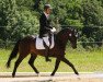 dressage horse Hatschipuh (ex Highland Game) (Trakehner, 2007, from Easy Game)