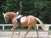 dressage horse Duke 271 (German Riding Pony, 2005, from Donchester)