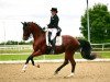 dressage horse Sirius B 2 (Austrian Warmblood, 2009, from Scolari)