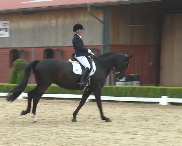Reitturnier Baldham 2018