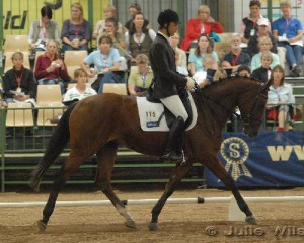 broodmare Fairbanks Las Vegas (Australian Wamblood, 2004, from Le Primeur)