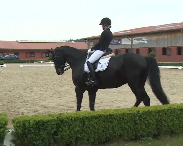 Reitturnier Baldham 2018