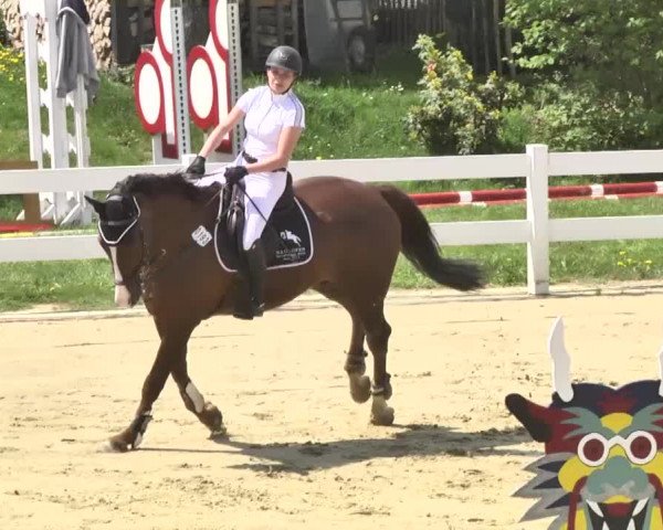 Reitturnier Leutkirch-Diepoldshofen 2018