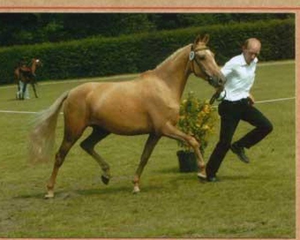 broodmare Larissa (German Riding Pony, 1999, from Lucky Lao)