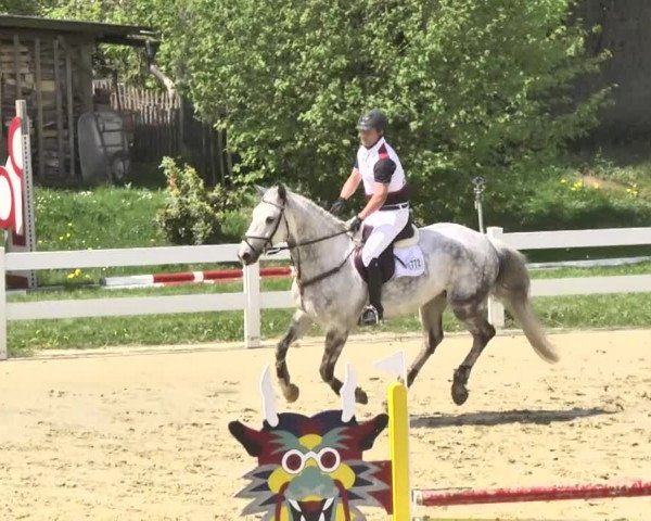 Reitturnier Leutkirch-Diepoldshofen 2018