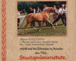 Zuchtstute Alyssa (Deutsches Reitpony, 1993, von Hamrik's Golden Arak)