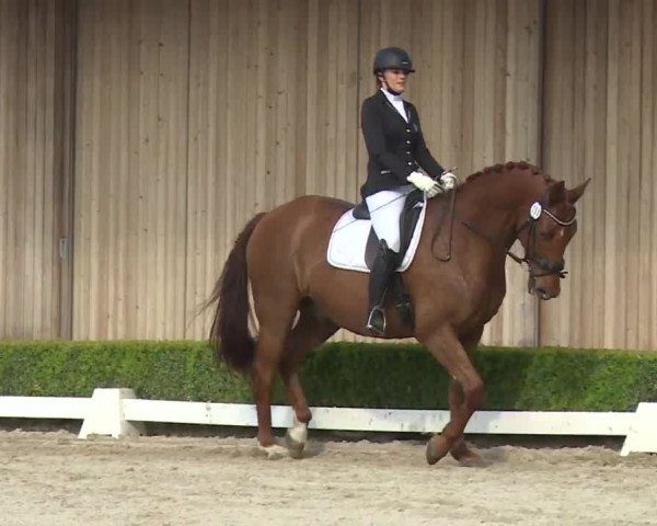 Reitturnier Baldham 2018