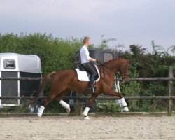 dressage horse Bella Johnson (Oldenburg, 2008, from Glock's Johnson Tn)