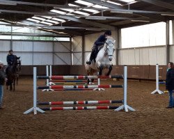 jumper Carnane Mathilda (Connemara Pony, 2012, from Coosheen Stormboy)