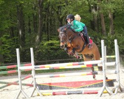 dressage horse Milten 3 (German Riding Pony, 2002, from Mon Beck)