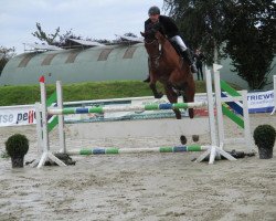 jumper As Di's Ferrari (Hanoverian, 2010, from As di Villagana)