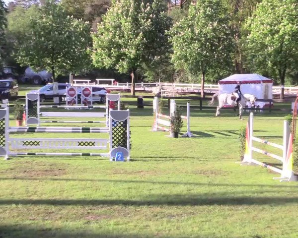 Reitturnier Meppen 2018