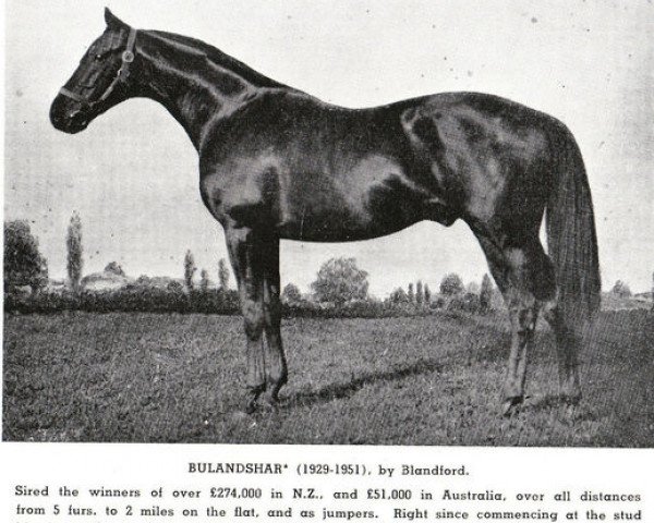Deckhengst Bulandshar xx (Englisches Vollblut, 1929, von Blandford xx)