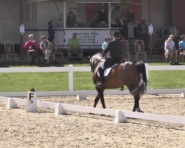 Fürstenwald Dressurtage 2018