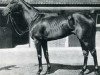 stallion Pan II xx (Thoroughbred, 1947, from Atys xx)