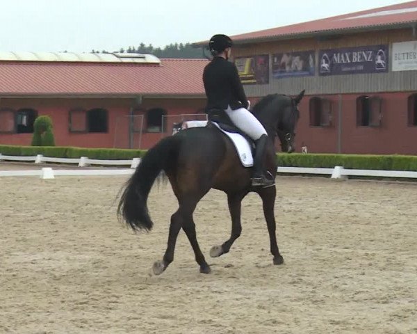 Reitturnier Baldham 2018