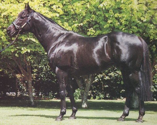stallion Zephyr Bay xx (Thoroughbred, 1970, from Biscay xx)