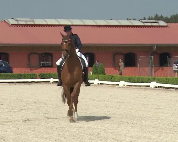 Reitturnier Baldham 2018