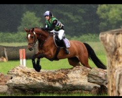 jumper Lady Lilli S (German Sport Horse, 2003, from Landsieger I)