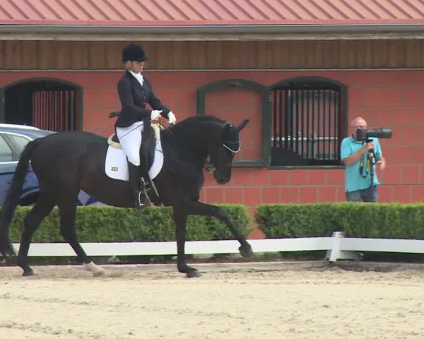 Reitturnier Baldham 2018