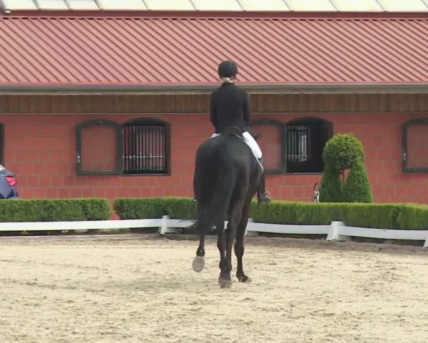 Reitturnier Baldham 2018