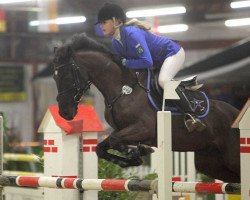 jumper Black Jack 185 (New Forest Pony, 2007, from Kantje's Ronaldo)